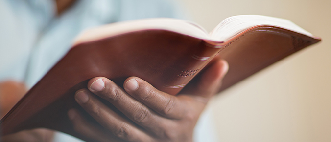 2020 Weekly Bible Reading Plan – Week 7