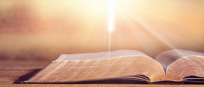 2020 Weekly Bible Reading Plan – Week 8