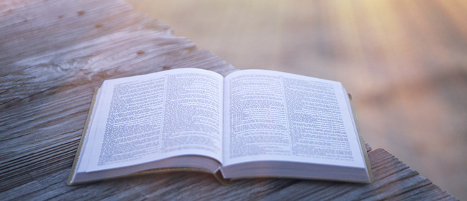 2020 Weekly Bible Reading Plan – Week 46